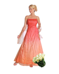 Quinceanera Dress 3731